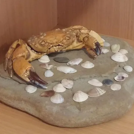 One-bedroom In Sunny Beach